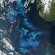 Image for article titled NASA Captures North Sea Algae in Full Bloom